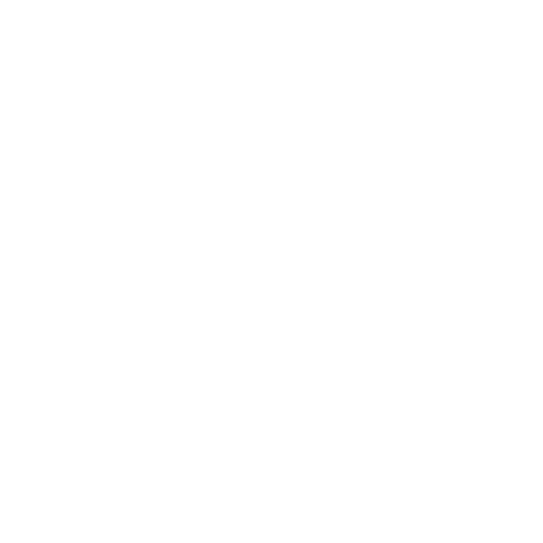 Stelvio Inc.